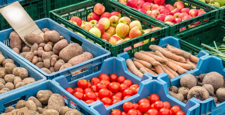 Gemüsboxen mit Kartoffeln, Tomaten, Möhren, Rote Beete, Äpfel, Birnen, Lauch