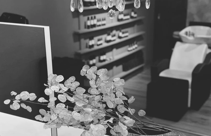 Shop Galerie