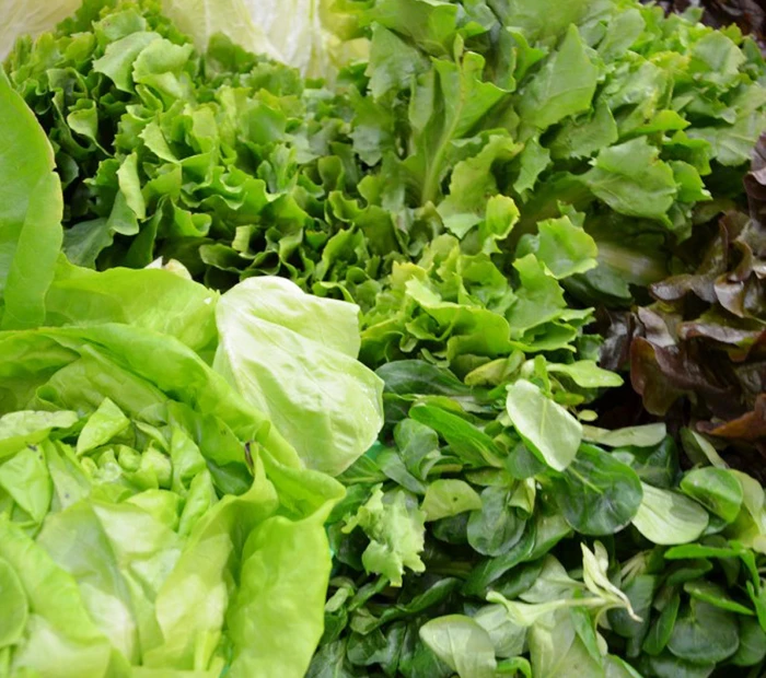 Priener Regional und Bio Markt Salatauswahl