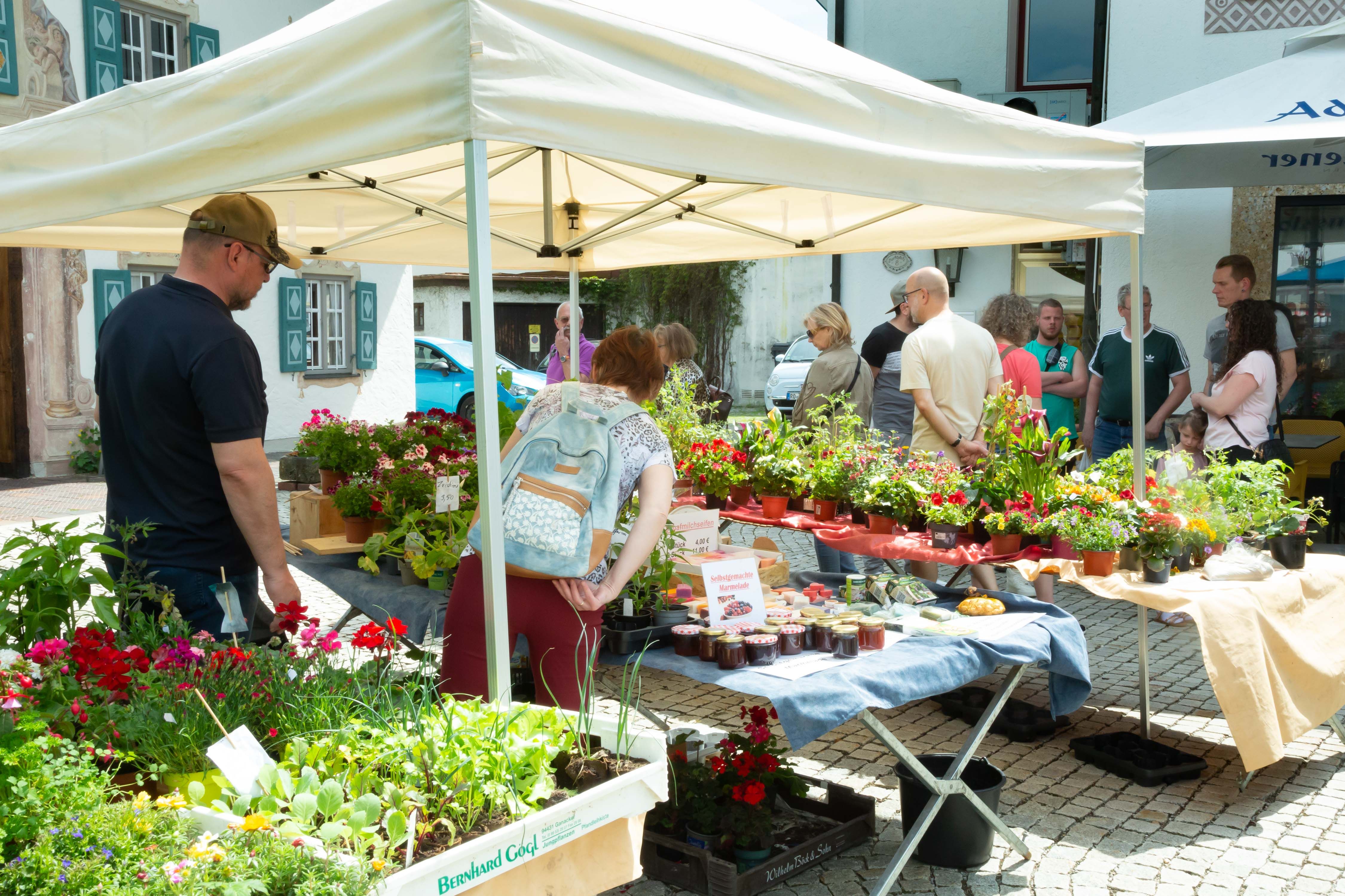 2025 05 18 Pressebild Maimarkt Prien Marktplatz 09©foto Berger
