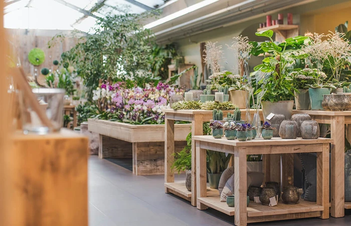 Blumenausstellung von Orchideen und Kakteen in der Gärnterei Rothers Blumen-Paradies in Prien